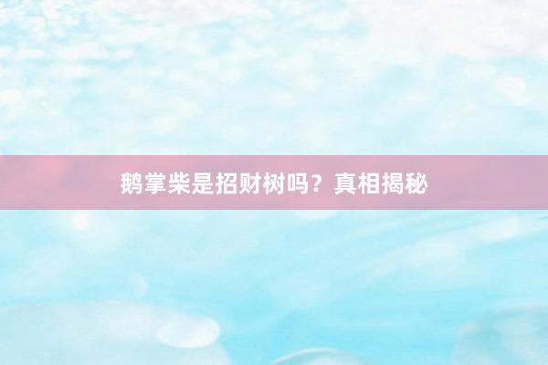 鹅掌柴是招财树吗？真相揭秘